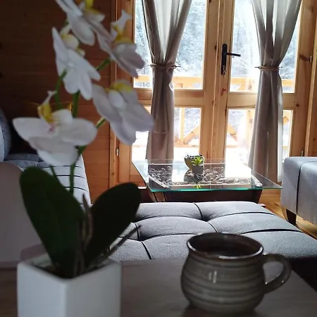 Holiday home Dedin Mokra Gora