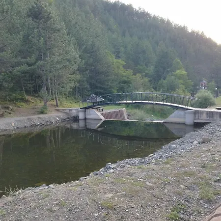 Dedin Holiday home