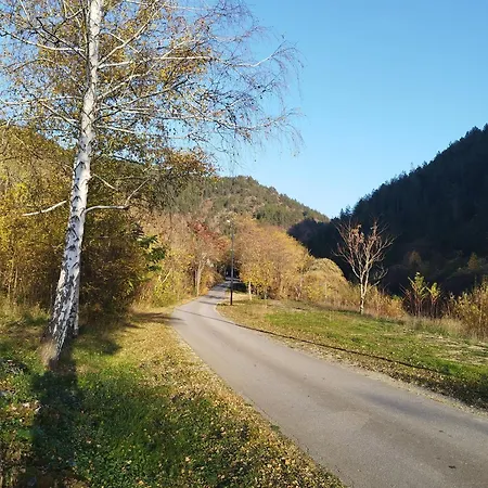 Dedin Holiday home Mokra Gora