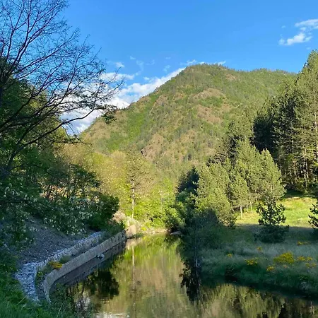 Dedin * Mokra Gora