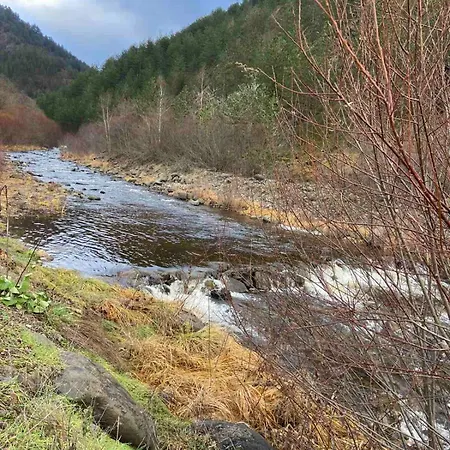 Dedin * Mokra Gora