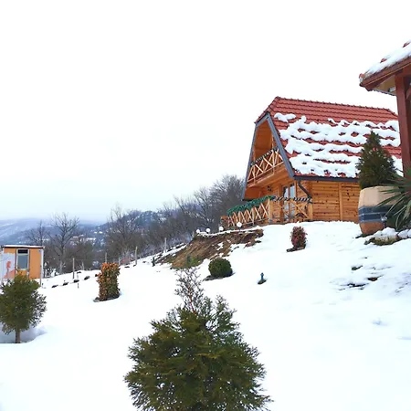 Dedin Holiday home *