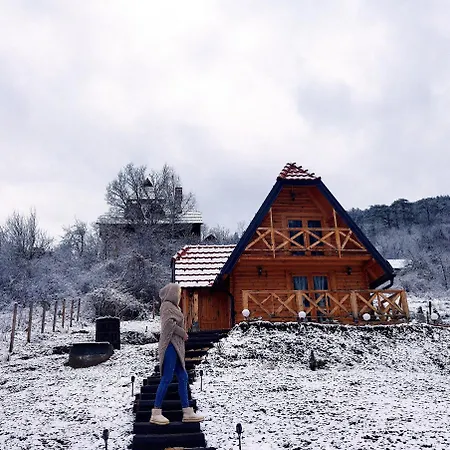 Holiday home Dedin *