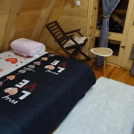 Dedin Holiday home