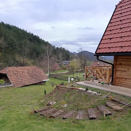Dedin Holiday home