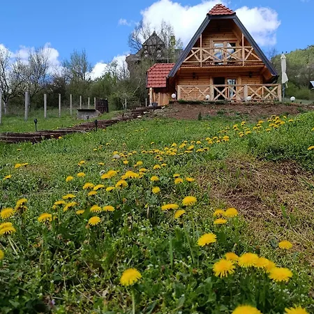 Dedin Mokra Gora