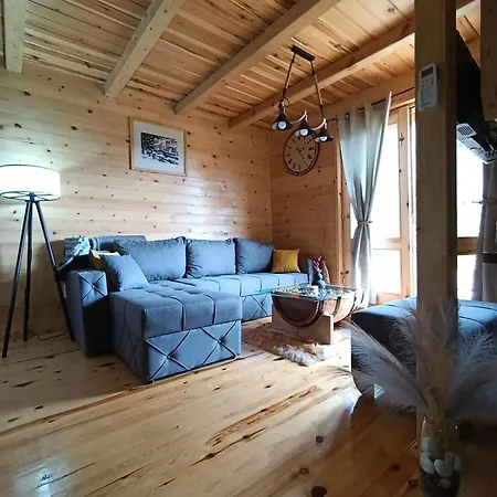 Dedin Holiday home *