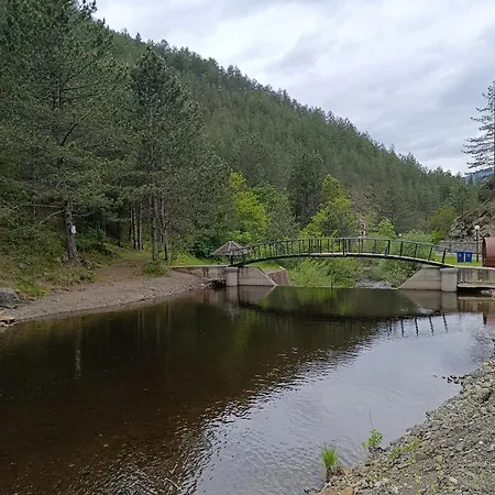 Nyaraló Dedin
