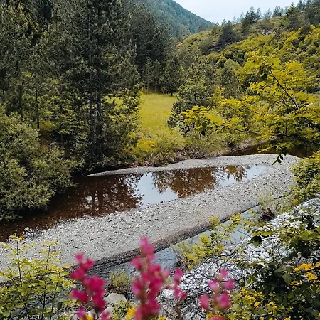 Nyaraló Dedin Mokra Gora