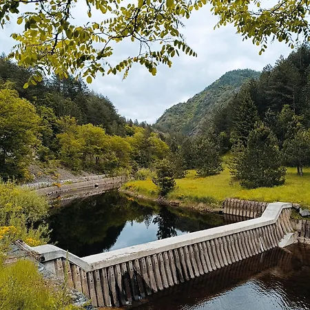 Dedin Holiday home *