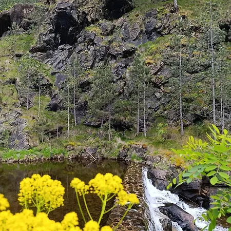 Holiday home Dedin *