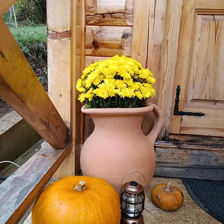 Casa de Férias Dedin *