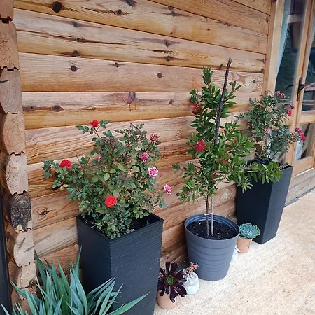 Casa de Férias Dedin *